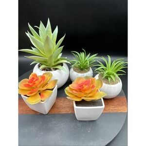 Faux Succulent Plant Set Desk - Realistic Coastal Western Scandi Boho Lot Of 5